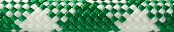 Maxim Equinox Green/White Dynamic Ropes
